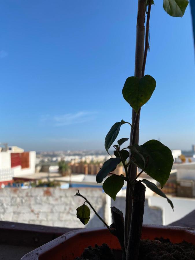 Ferienwohnung House Albahara Oudayas Rabat Exterior foto